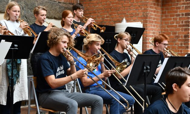 Søg vores musikprofil