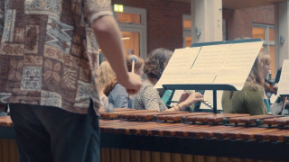 Aurehøj Phil - Ticotico Aurehøj Phil - Ticotico